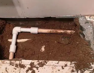 柯坪测漏水哪家好