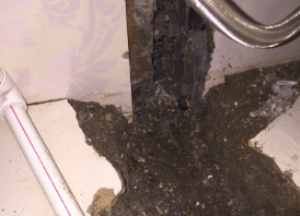 柯坪卫生间测漏水哪家好