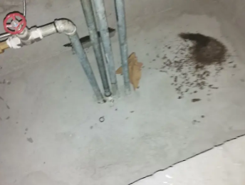 柯坪卫生间测漏水价格明细