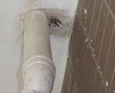 柯坪漏水检测哪家好